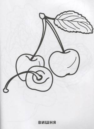 Фрукты и Овощи