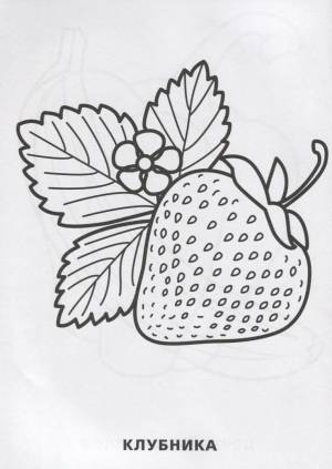 Фрукты и Овощи