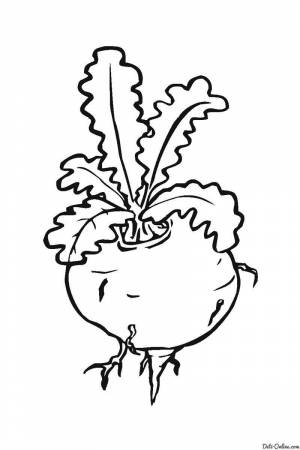 Раскраски Раскраска Репа овощи