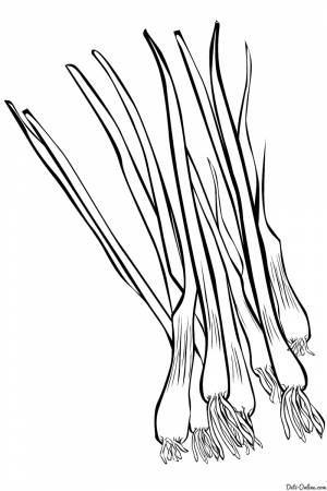 раскраски овощи