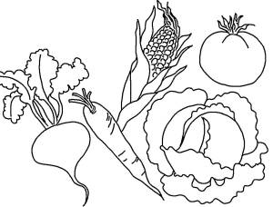 Раскраски овощей