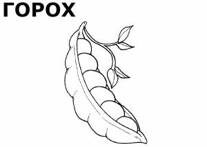 Раскраски Овощей