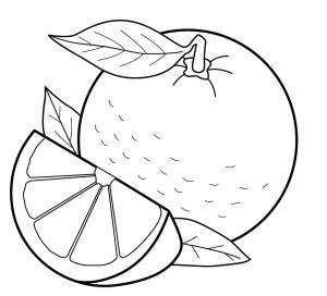 Раскраска № 3898