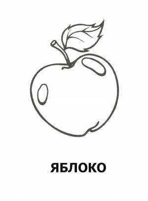 Фрукты и ягоды