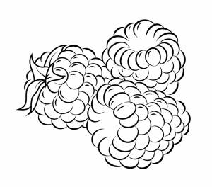 Раскраска малина