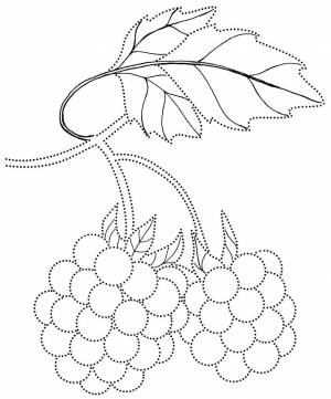 Раскраски Малина