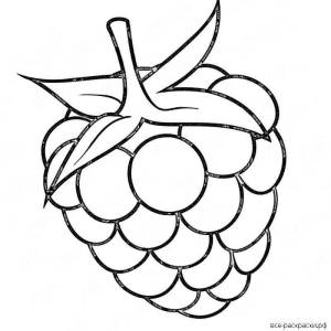 Раскраски Ягода малина